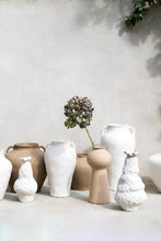 Charger l'image dans la galerie, Pack Hortensia 3pcs