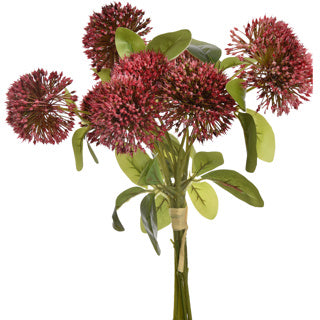 Bouquet Allium