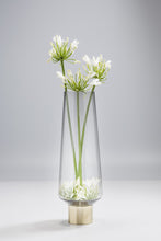 Charger l'image dans la galerie, Ensemble de Vases Noble Ring
